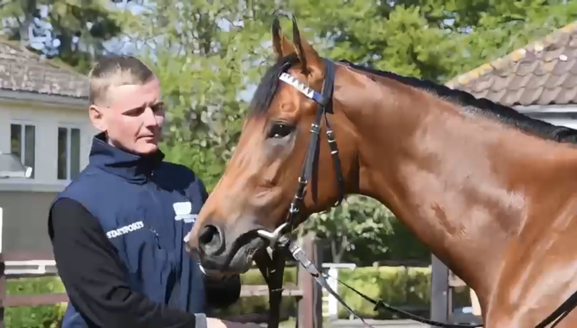 George Boughey Stable Visit