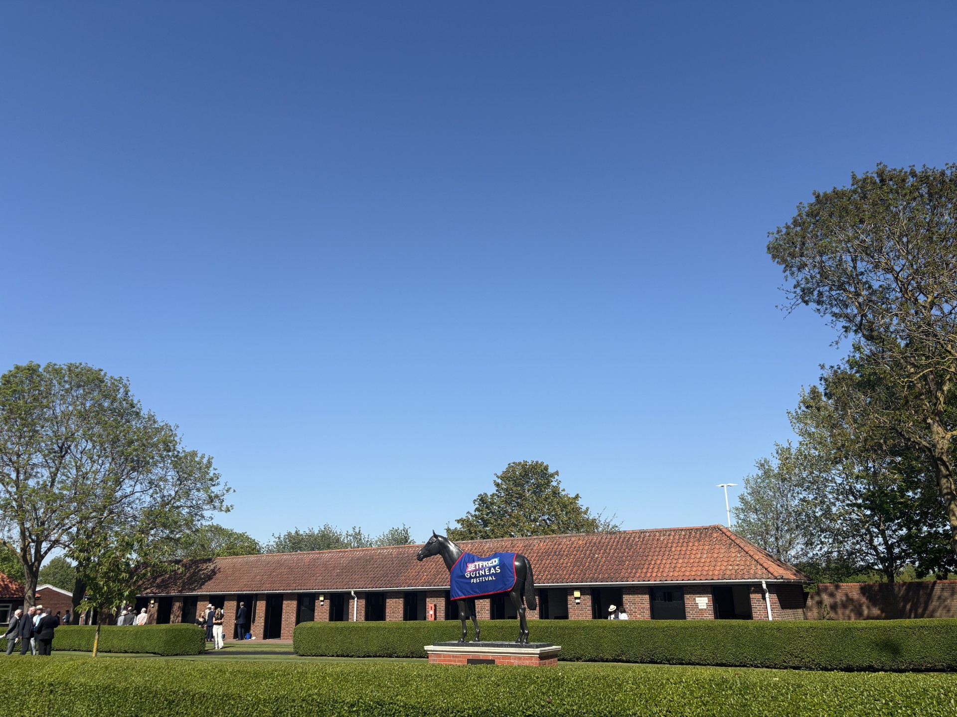 Guineas Festival